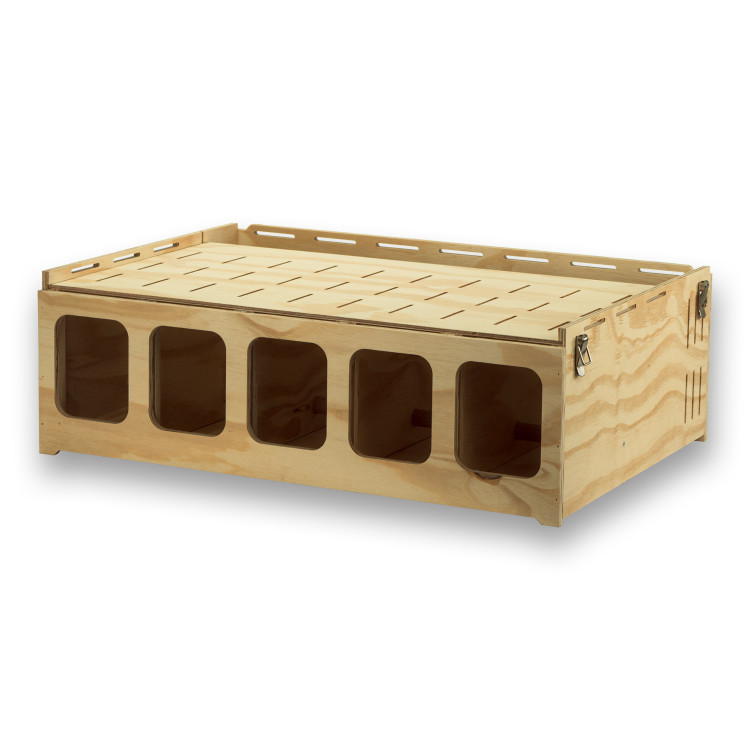 Pluma 5 compartimenten houten transportkooi voor middelgrote vogels