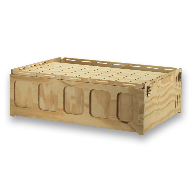 Pluma 5-compartment wooden transport carrier box for medium birds