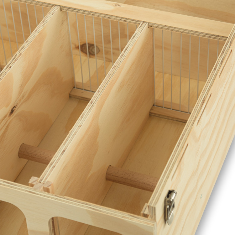 Pluma 5 compartimenten houten transportkooi voor middelgrote vogels