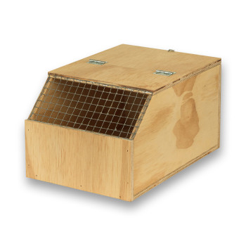 Eco wooden transport carrier box for medium birds