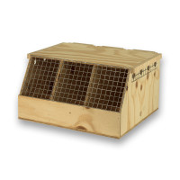 Boîte de transport Air Export en bois à 3 compartiments pour Perroquets