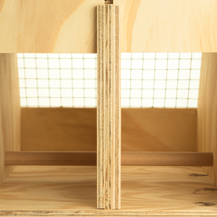 Air Export 2-compartment wooden transport carrier box for Parrots