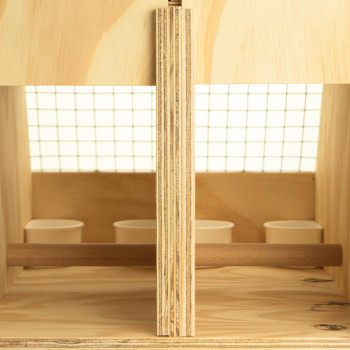 Air Export 2-compartment wooden transport carrier box for Parrots