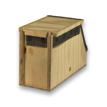 Air Export Calm 1-Abteil-Transportbox aus Holz für Papageien
