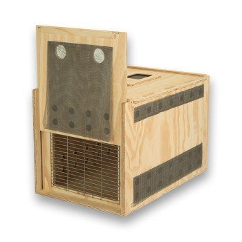 Air Export Calm 60 Transportbox aus Holz für Greifvögel