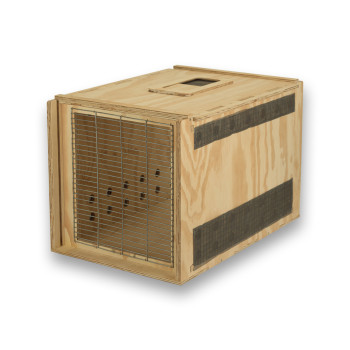 Air Export Calm 60 Transportbox aus Holz für Greifvögel