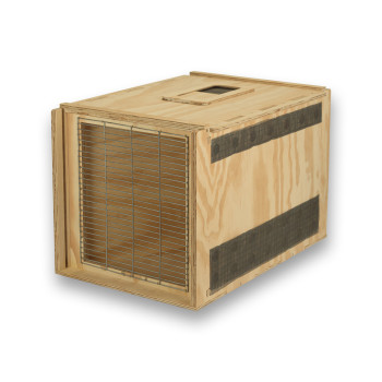 Air Export Calm 60 Transportbox aus Holz mit Trennwand für Greifvögel