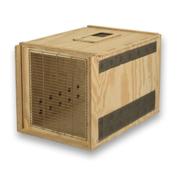 Air Export Calm 75 wooden transport carrier box for Birds of Prey