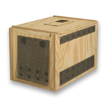 Boîte de transport Air Export Calm 75 en bois avec séparateur pour Rapaces