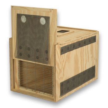 Air Export Calm 75 wooden transport carrier box with divider for Birds of Prey