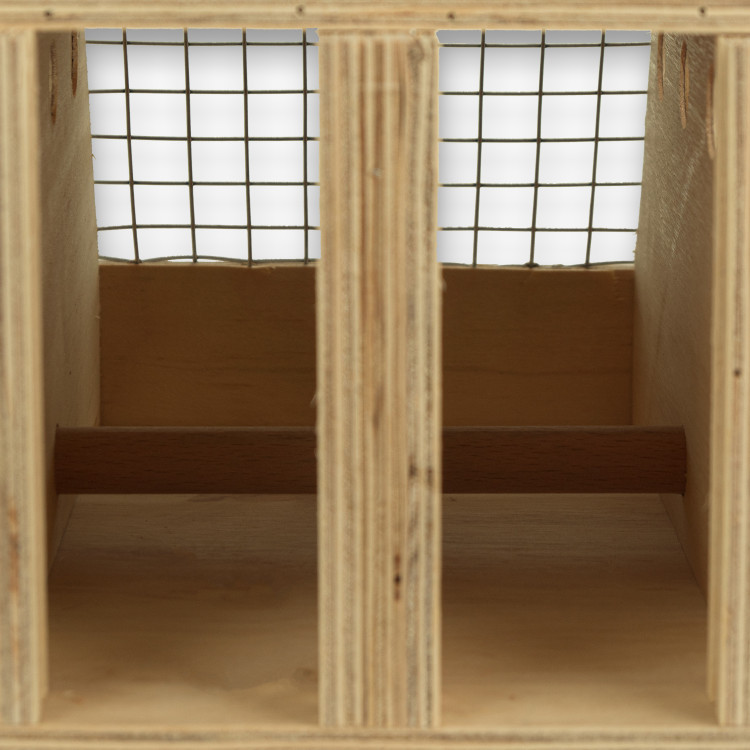 Air Export 2-compartment wooden transport carrier box for Ring-necked Parakeets
