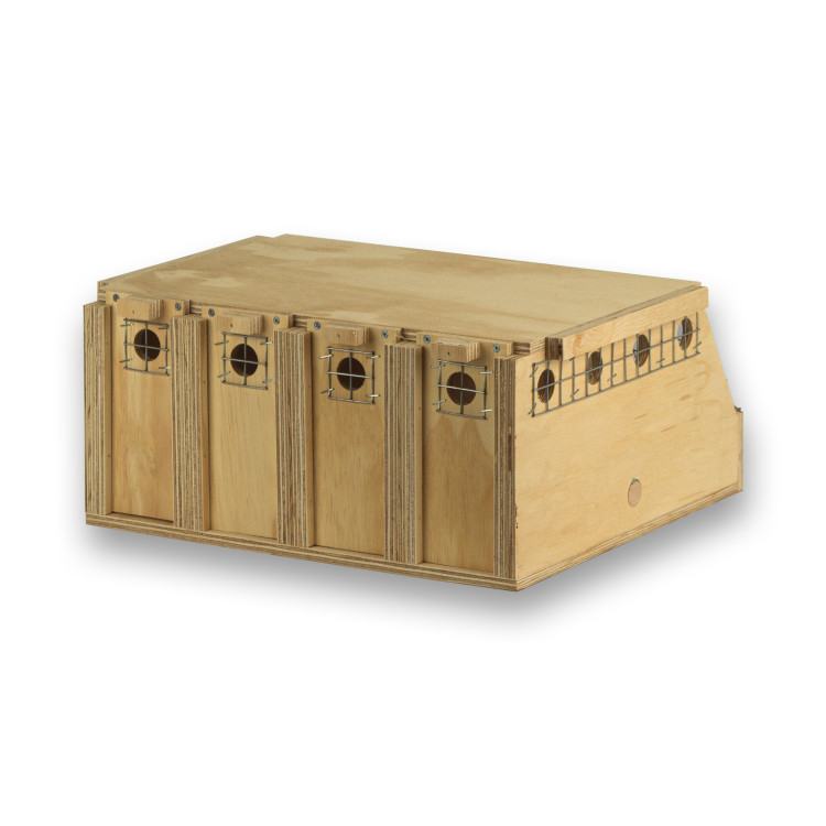 Air Export 4-Abteil-Transportbox aus Holz für Halsbandsittiche