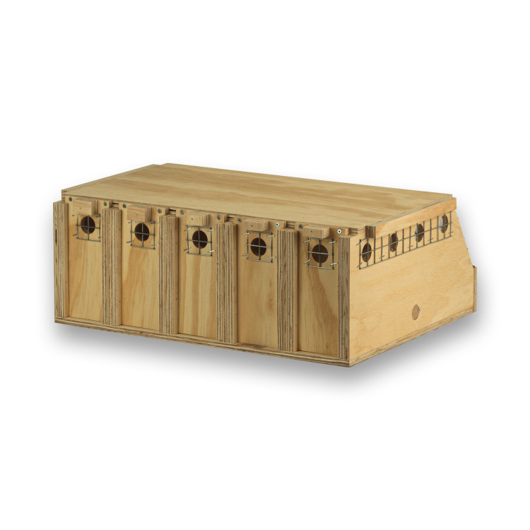 Air Export 5-Abteil-Transportbox aus Holz für Halsbandsittiche