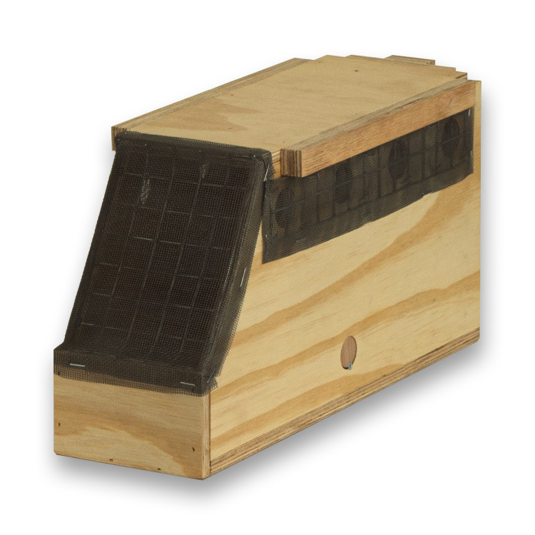 Air Export Calm 1-Abteil-Transportbox aus Holz für Halsbandsittiche