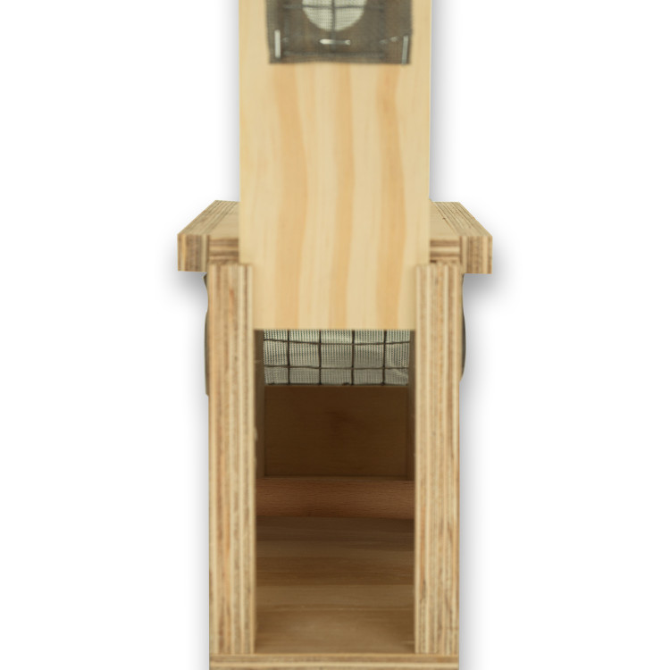 Air Export Calm 1-Abteil-Transportbox aus Holz für Halsbandsittiche
