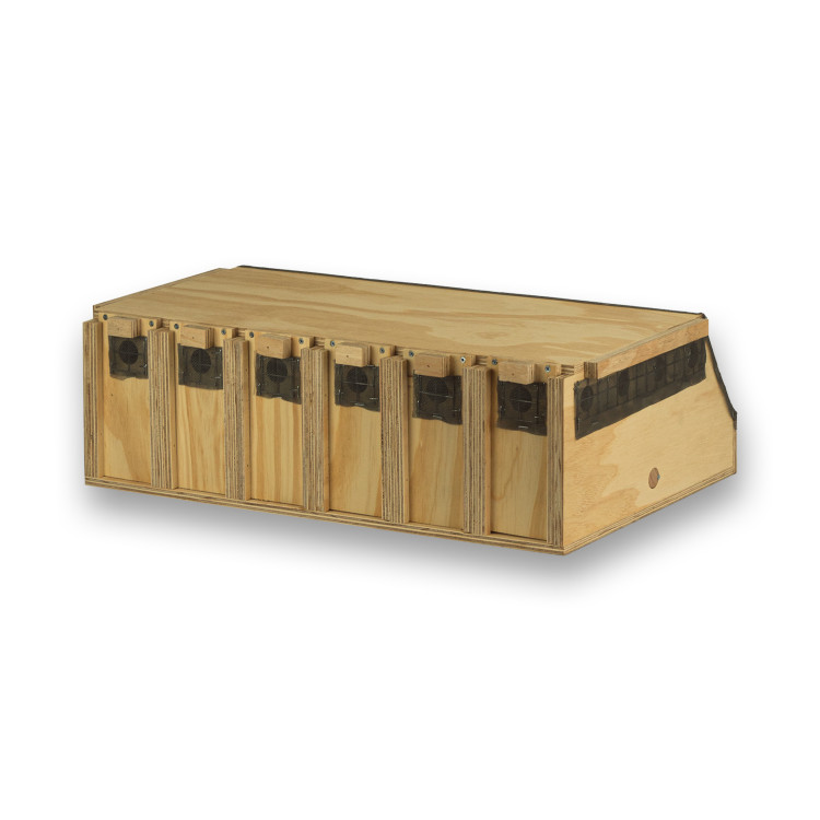 Air Export Calm 6 compartimenten houten transportkooi voor Halsbandparkieten