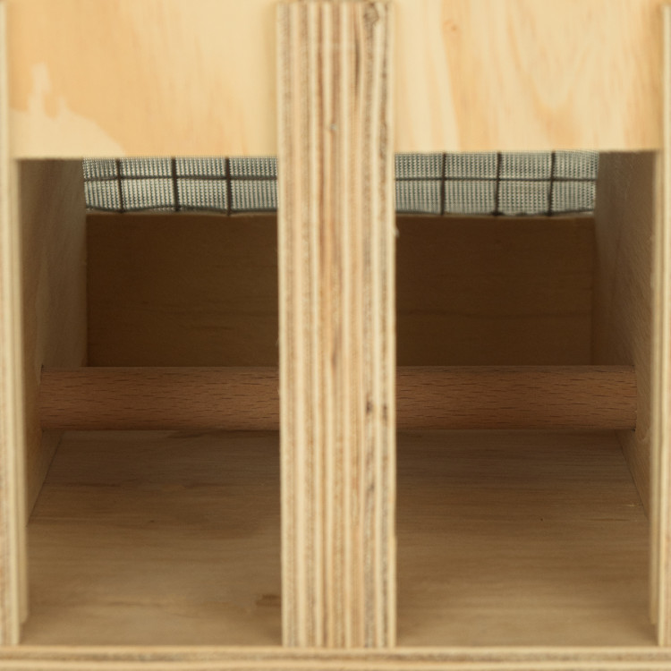 Air Export Calm 6 compartimenten houten transportkooi voor Halsbandparkieten